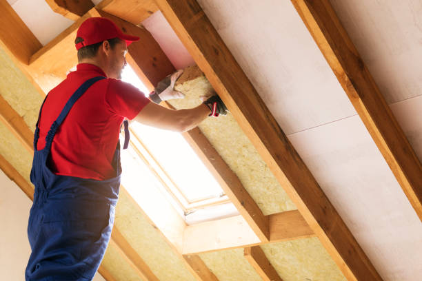 Types of Insulation We Offer in Alpharetta, GA